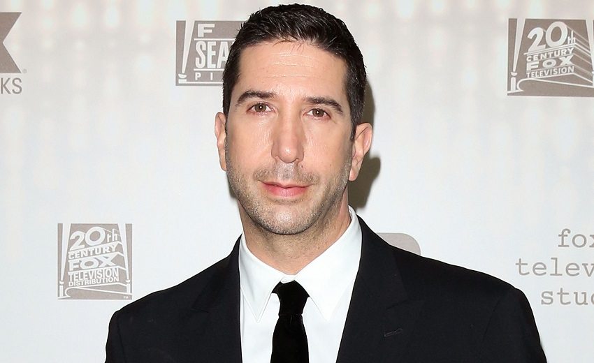 David Schwimmer Bio Net Worth Movies Tv Shows