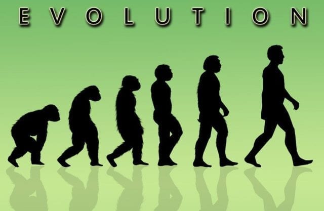 1547726990-5568-evolution proof of evolution