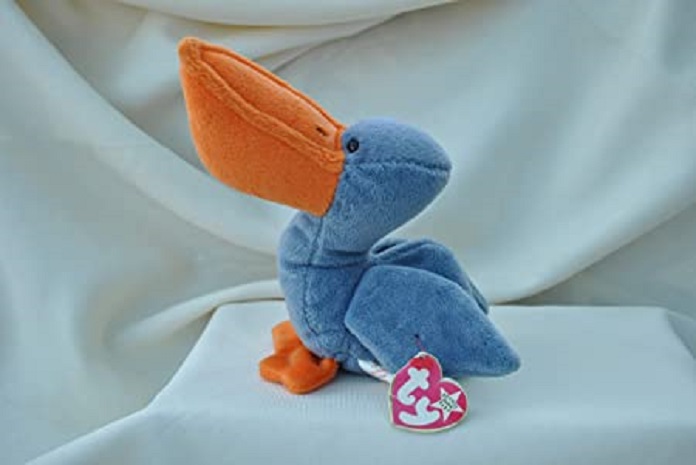 Scoopthe Pelican 