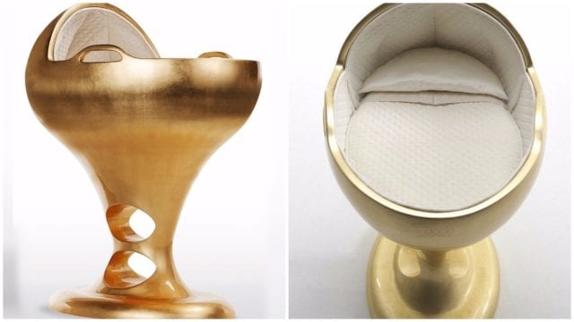 Dodo Basinet World Most Expensive Crib 9