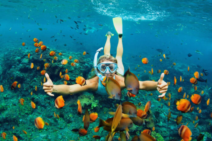 Best Snorkeling Destinations