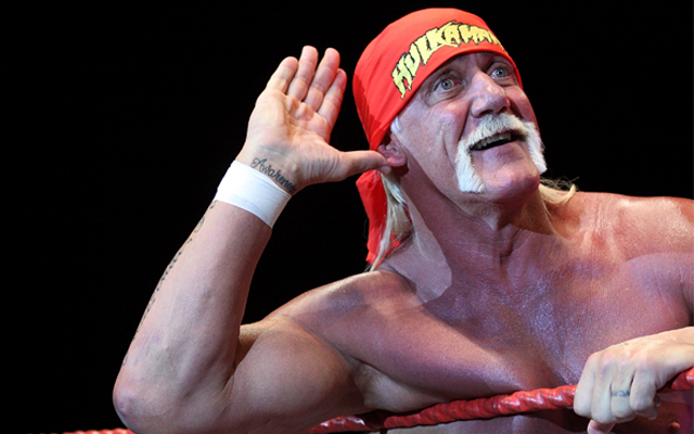 Hulk Hogan's net worth