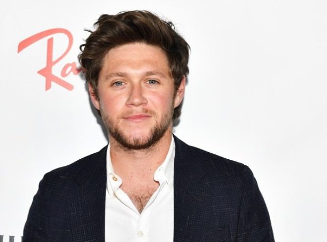 Niall Horan One Direction members net worth