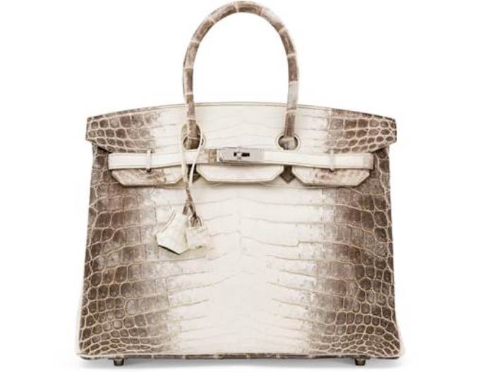 Niloticus Crocodile Himalaya Birkin