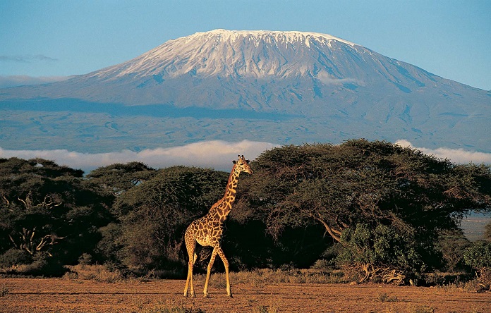 Mount Kilimanjaro 