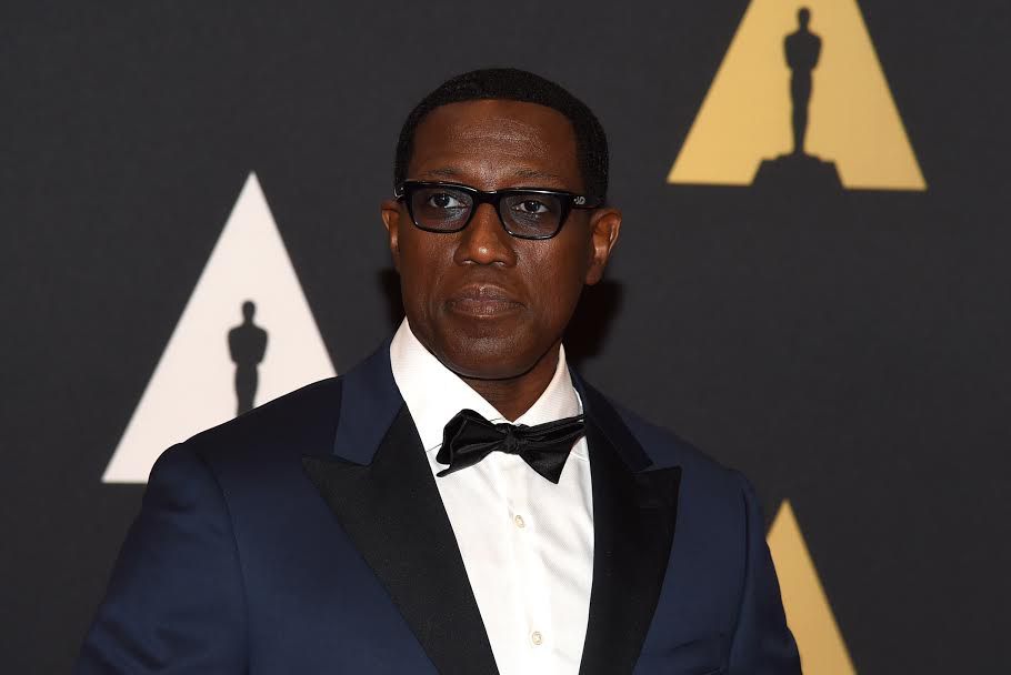 Worth net wesley snipes Who is