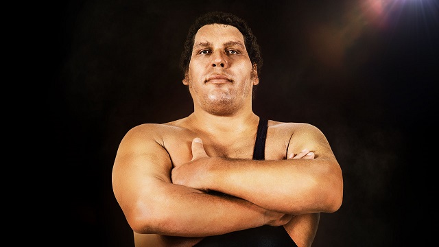 André the Giant's net worth