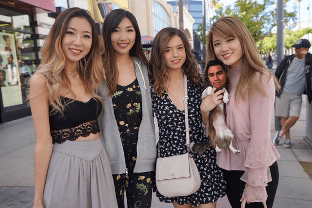Who Is Pokimane What Is Her Ethnicity and Does She Have A Boyfriend? 